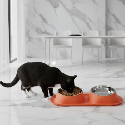 Gamelle Chat | Doubdini