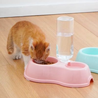 gamelle chat revigorante