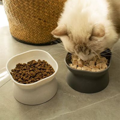 gamelle chat surélevée alimentation simple