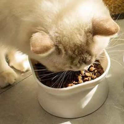 gamelle-chat-surelevee-blanche