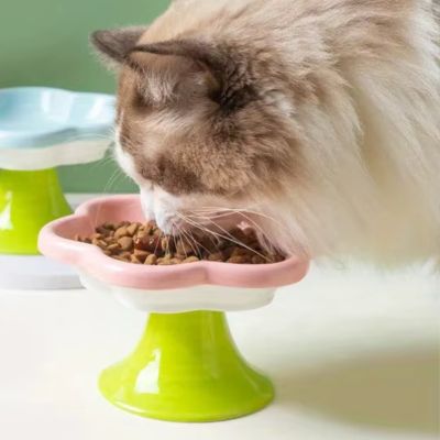 gamelle-chat-surelevee-couleur-rose