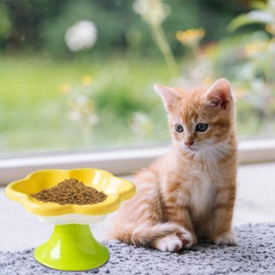 gamelle-chat-surelevee-croquettes-delice