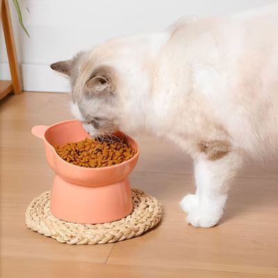 gamelle-chat-surelevee-mange-calmement