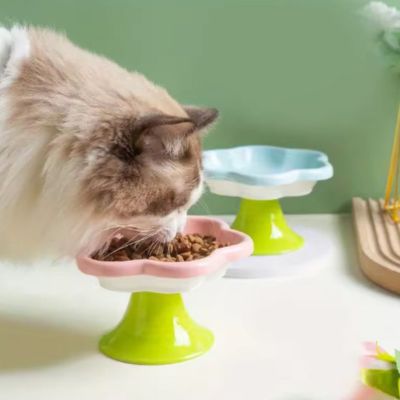 Gamelle Chat Surélevée | Ceramykat