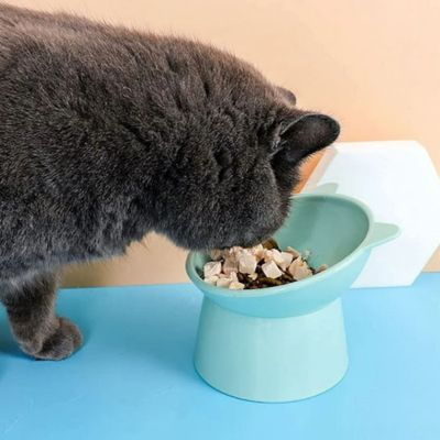 gamelle-chat-surelevee-position-normale