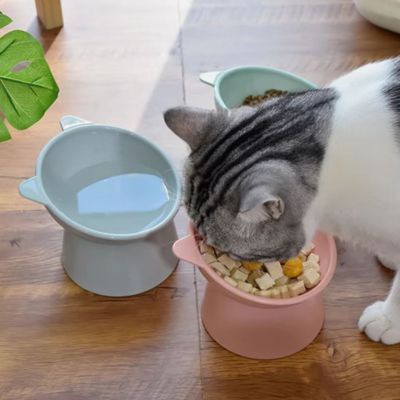 gamelle-chat-surelevee-protege-colonne