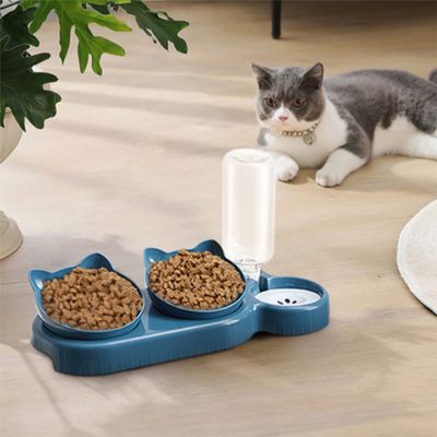 gamelle-chat-tout-servi