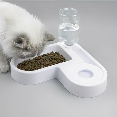 gamelle-pour-chat-alimentation-savoureuse