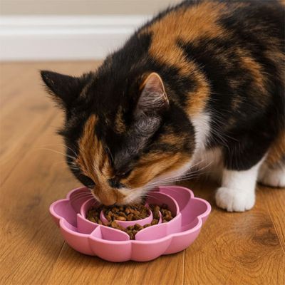 Gamelle pour chat anti glouton|Catyglou