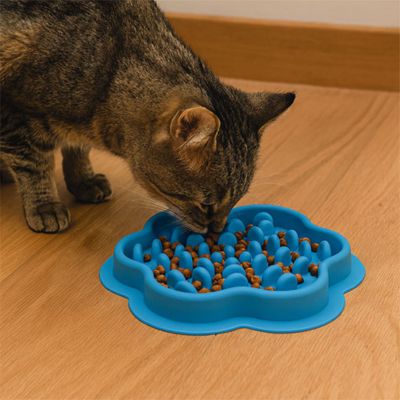 gamelle-pour-chat-anti-glouton-moderation