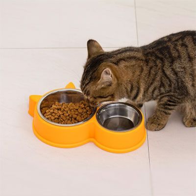 gamelle-pour-chat-excellence