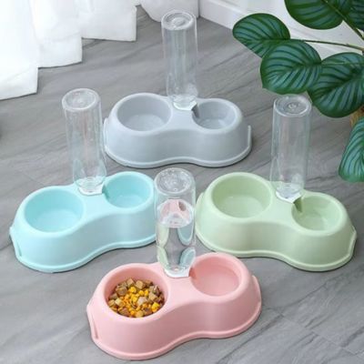 Gamelle pour chat|Tassigami