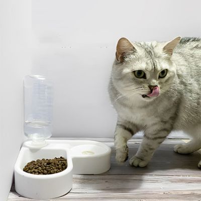 gamelle-pour-chat-nourriture-appetit