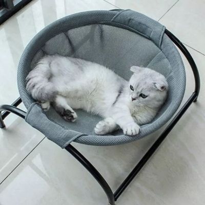 hamac-chat-bien-etre