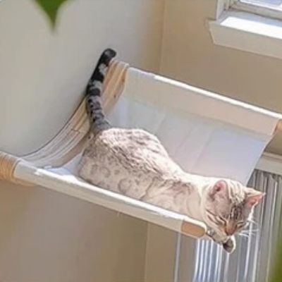 Hamac Chat | Dourepos