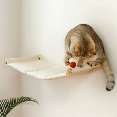 Hamac Chat | Dourepos