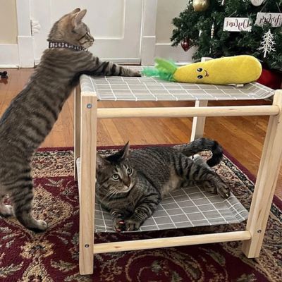 hamac pour chat amusant