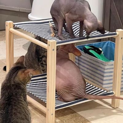 hamac pour chat décor