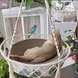 hamac pour Chat|Balanco™