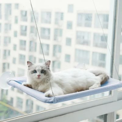 Hamac pour chat fenetre|Windo™
