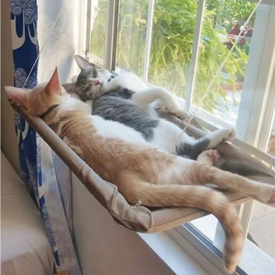 Hamac pour chat fenetre | Windo