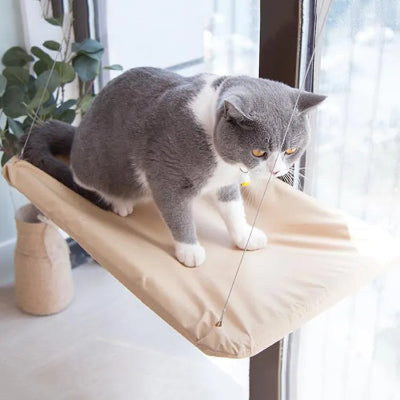 hamac-pour-chat-fenetre-kaki