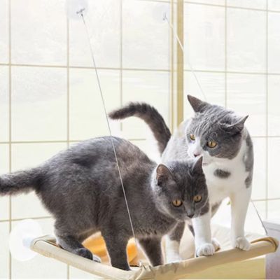 Hamac pour chat fenetre|Windo™