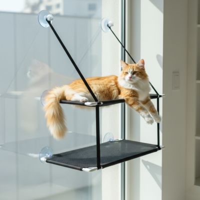 hamac pour chat fenêtre noir deux niveaux