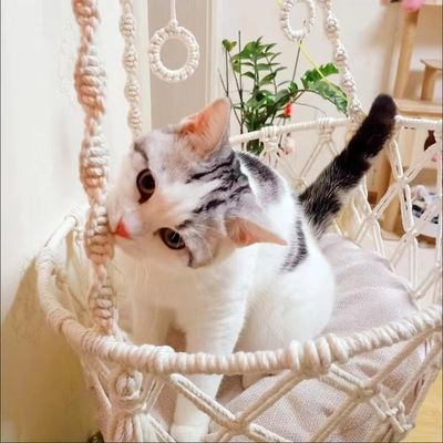 hamac pour chat liens forts