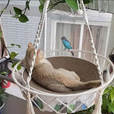 hamac pour chat perruche