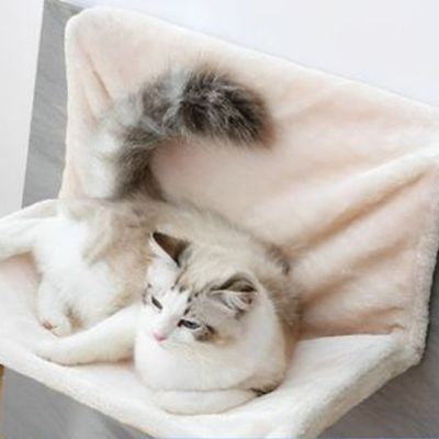 hamac-pour-chat-radiateur-crème