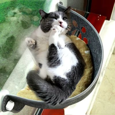 hamac-pour-chat-ventouse-confortable