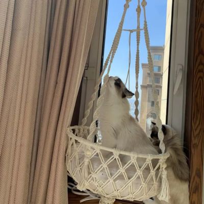 hamac pour chat vue extérieure