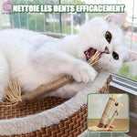 jouet-pour-chat-a-macher-nettoyeur