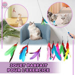 jouet-pour-chat-contre-l_ennui-implacable