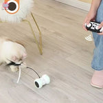 jouet-pour-chat-inoui