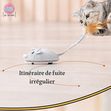 jouet-pour-chat-souris-parcours