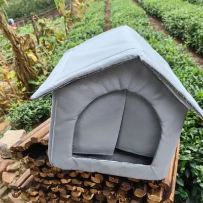 maison pour chat bleue extérieur