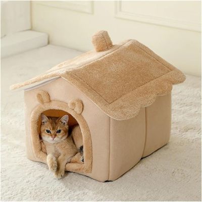 maison pour chat fenêtre