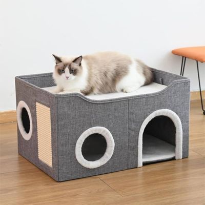 maison pour chat idyllique