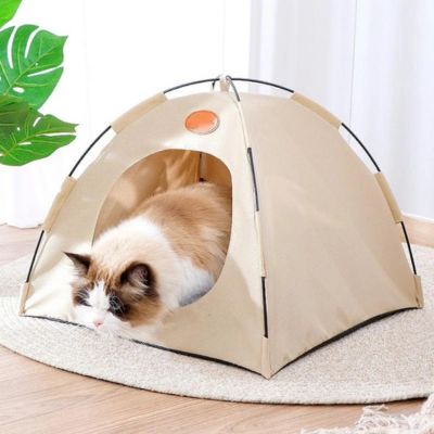 Maison pour chat | Cattente