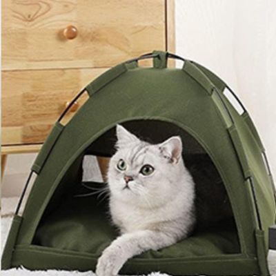 maison-pour-chat-treillis-vert
