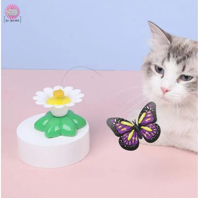 meilleur-jouet-interactif-pour-chat-papillon