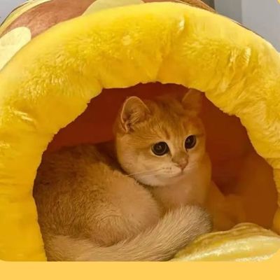 niche pour chat|Lipomiel™