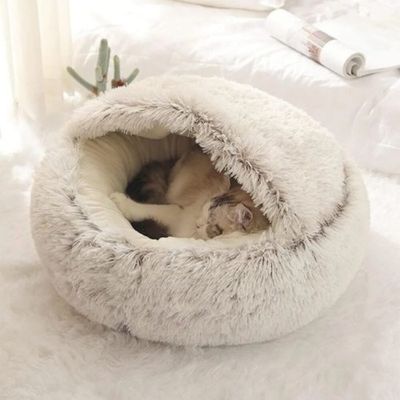 niche pour chat design élégant accueillant