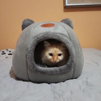 niche-pour-chat-paisible