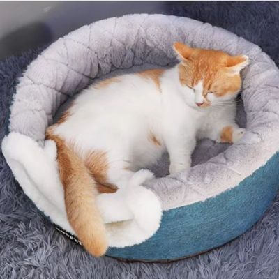 Panier pour chat|Convertis