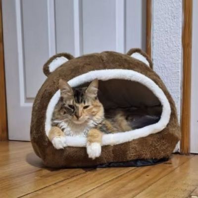 Niche pour chat|Catlair