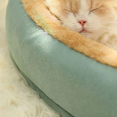 panier chat bordure moelleuse
