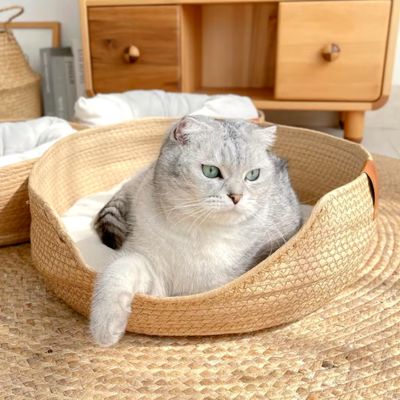 panier chat détente tranquille